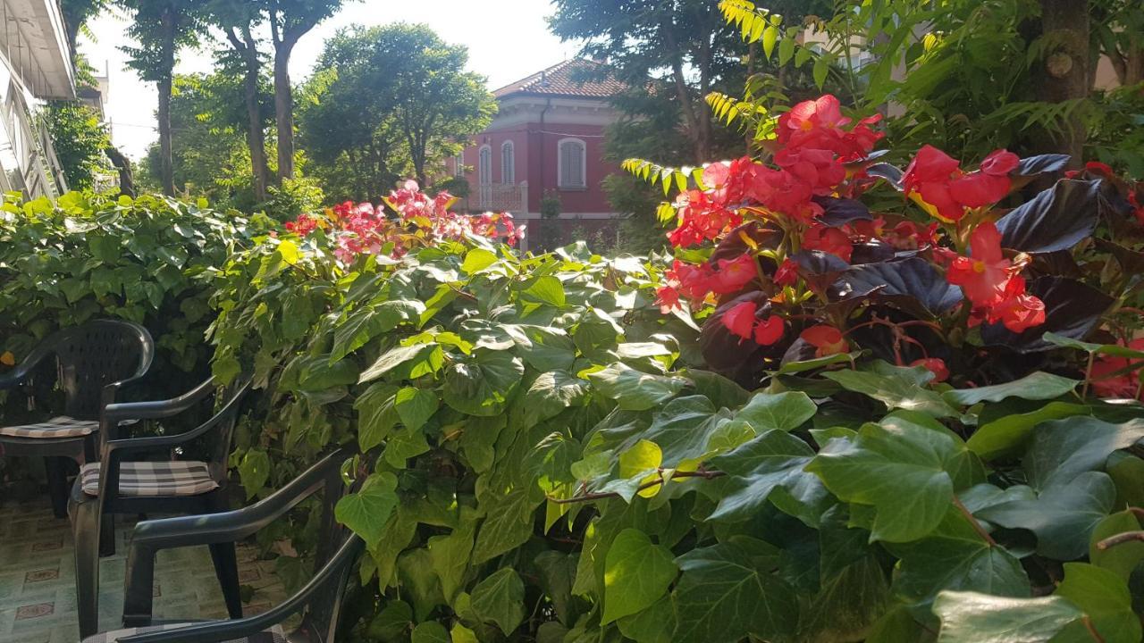 Albergo Rita Rimini Dış mekan fotoğraf